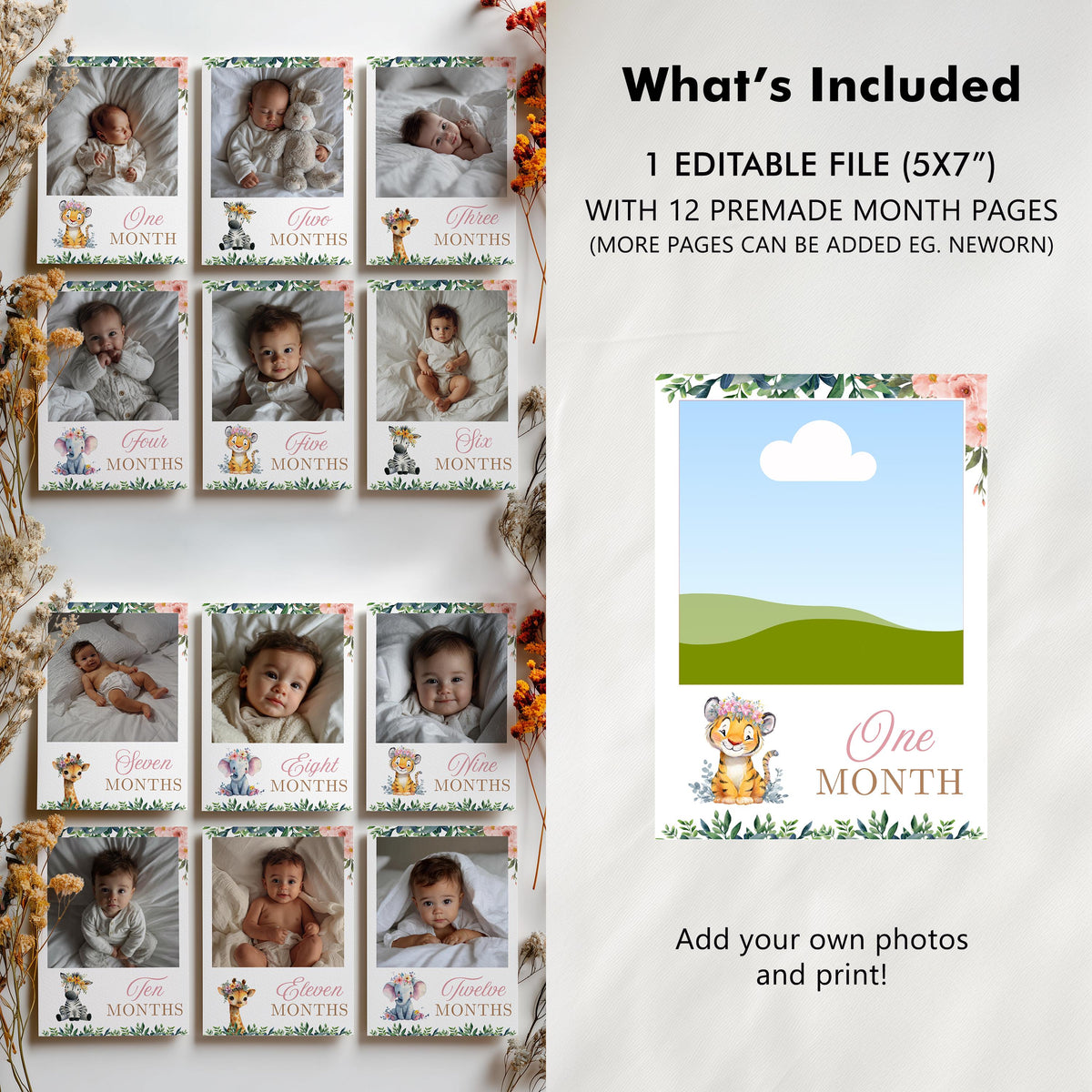 Safari First Year Photos, Wild One Girl 1st Birthday Photos, Girl Baby's First Year Month Photos, Monthly Photo Banner
