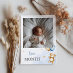 Teddy Bear Milestone First Year Photos, Monthly Photo Banner