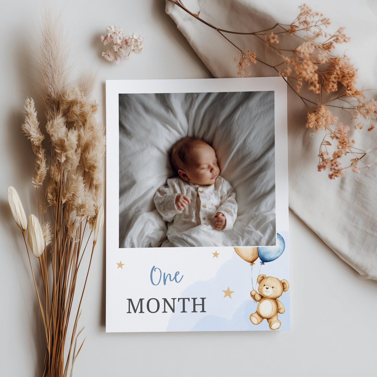 Teddy Bear Milestone First Year Photos, Monthly Photo Banner