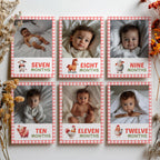 Barnyard First Year Photos, Farm 1st Birthday, Baby's Year Month, Monthly Photo Banner