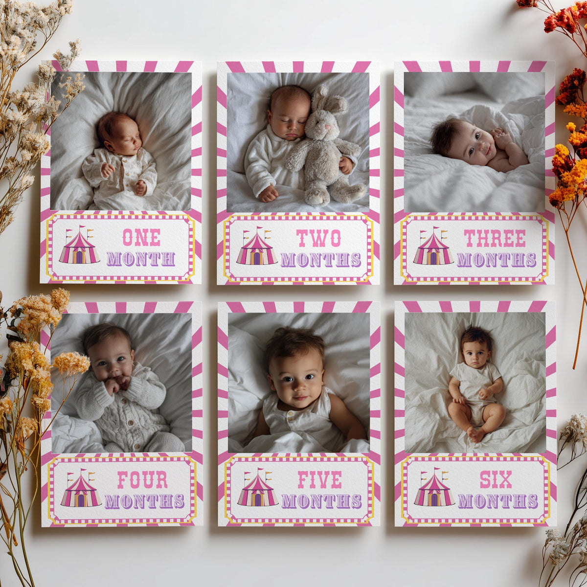 Pink Circus Milestone Year Photo, Carnival Baby's 1st Year Month Photos
