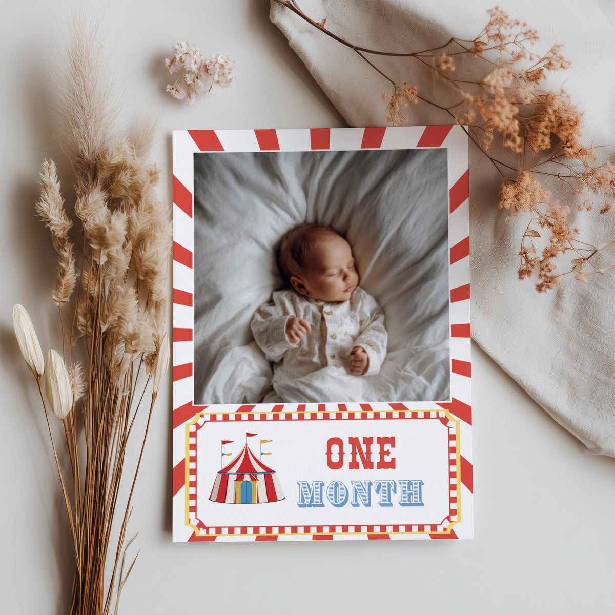 Circus Milestone Photo, Carnival Baby's 1st Year Month Photos