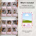 Pink Circus Milestone Year Photo, Carnival Baby's 1st Year Month Photos