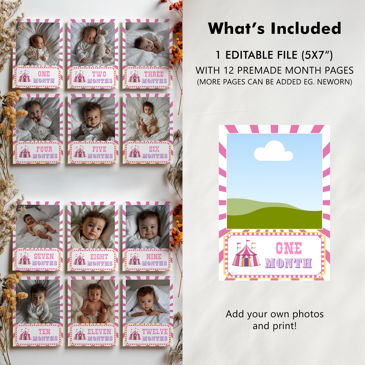 Pink Circus Milestone Year Photo, Carnival Baby's 1st Year Month Photos