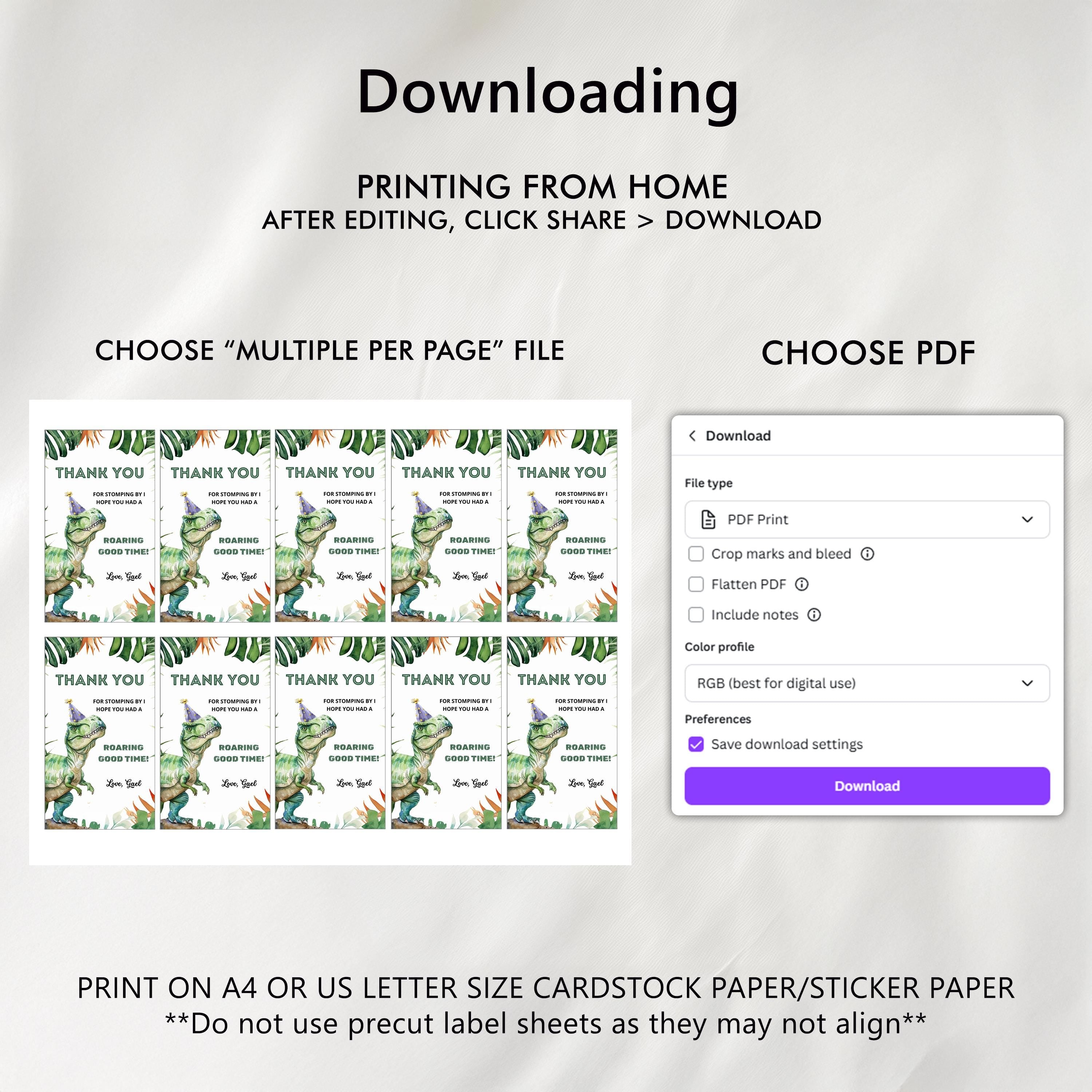 Editable Dinosaur 3rd Birthday Favor Tags | Dinosaur Thank You Tag | Dinosaur 3rd Birthday Favor Label | Canva Template 9014