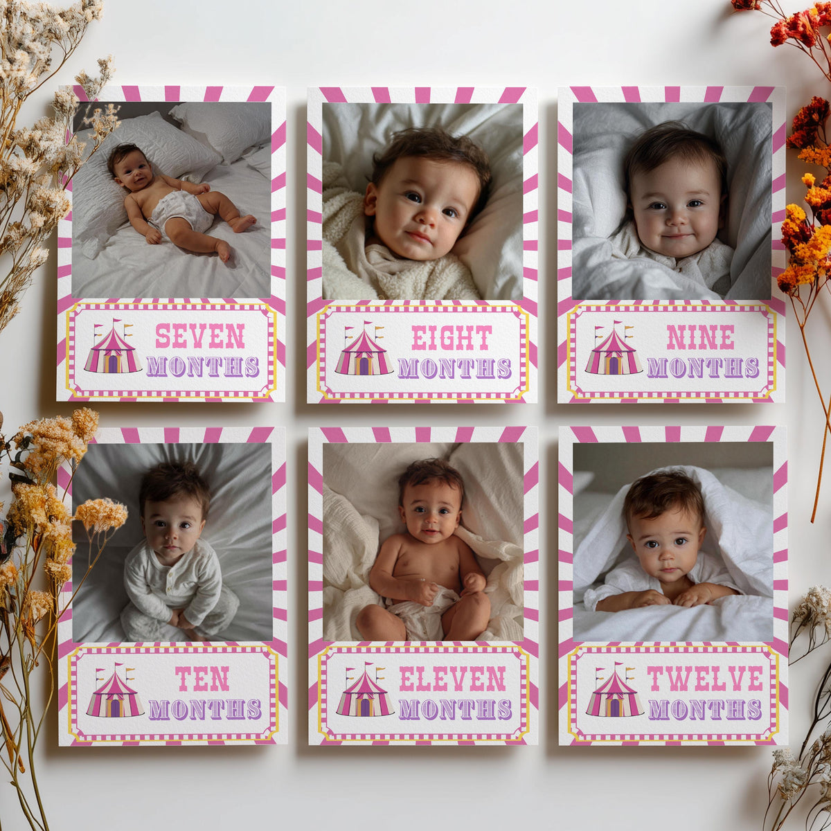 Pink Circus Milestone Year Photo, Carnival Baby's 1st Year Month Photos