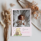 Pink Winnie the Pooh Year Photo, Milestone Baby's 1st Year Month Photos