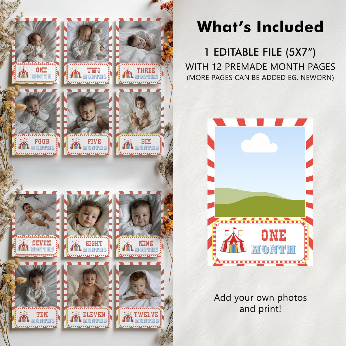 Circus Milestone Photo, Carnival Baby's 1st Year Month Photos