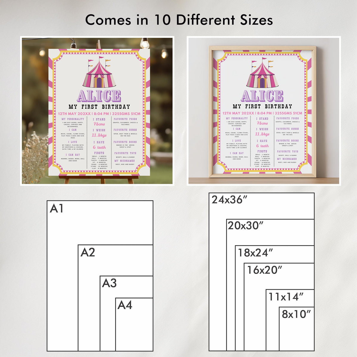 Pink Circus Milestone Sign, 1st Birthday Milestone Board