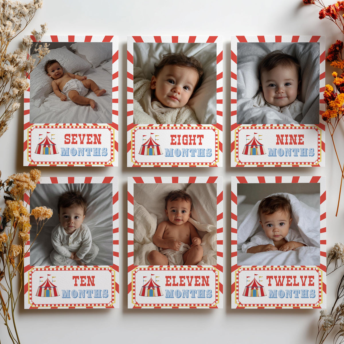 Circus Milestone Photo, Carnival Baby's 1st Year Month Photos