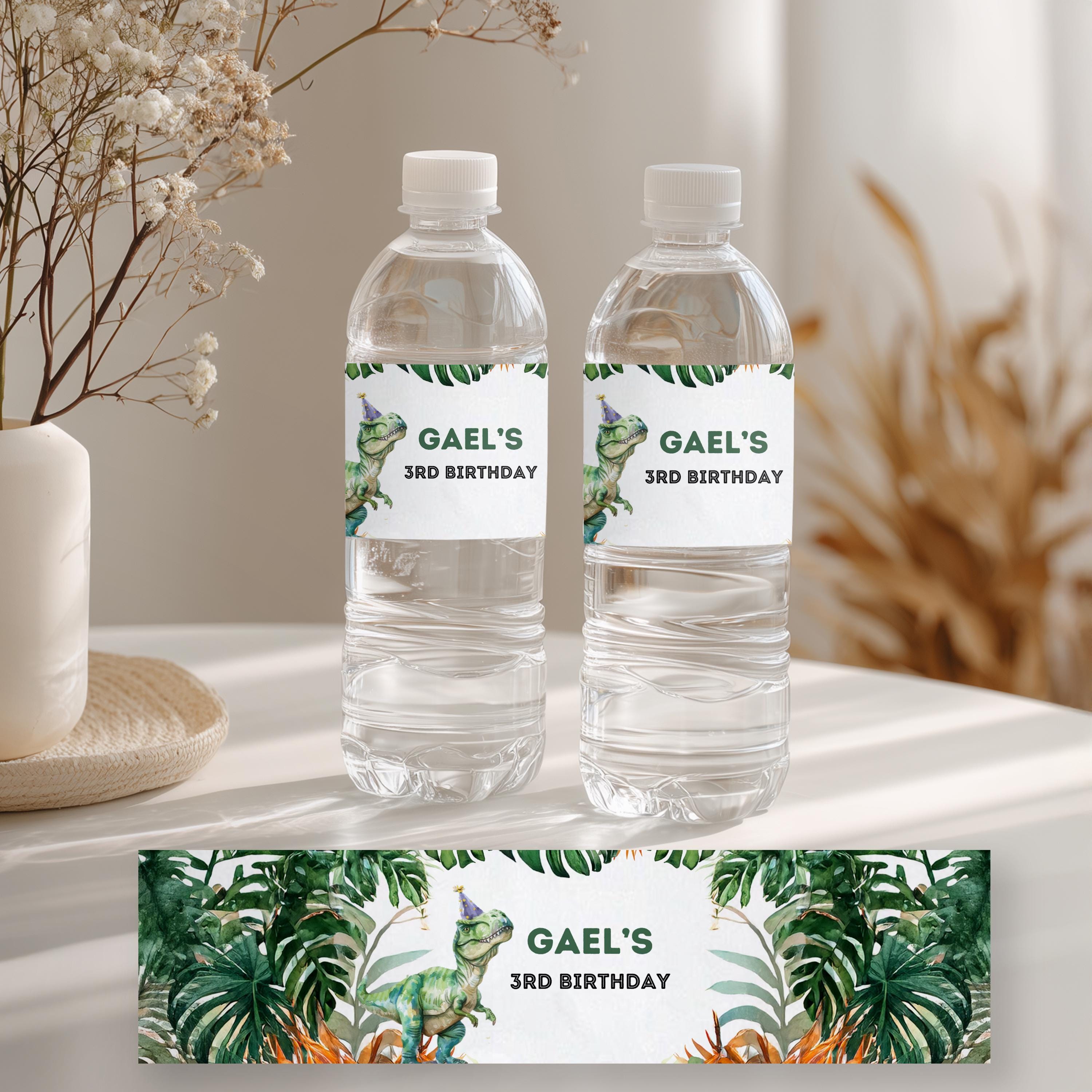 Editable Dinosaur Water Bottle Labels | Personalized Dinosaur Bottle Labels Template | Instant Digital Download 9014