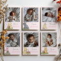 Pink Winnie the Pooh Year Photo, Milestone Baby's 1st Year Month Photos