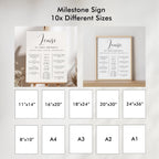 Minimalist Modern First Birthday Milestone Sign, Gender neutral Milestone Board, Baby 1st Year 9175
