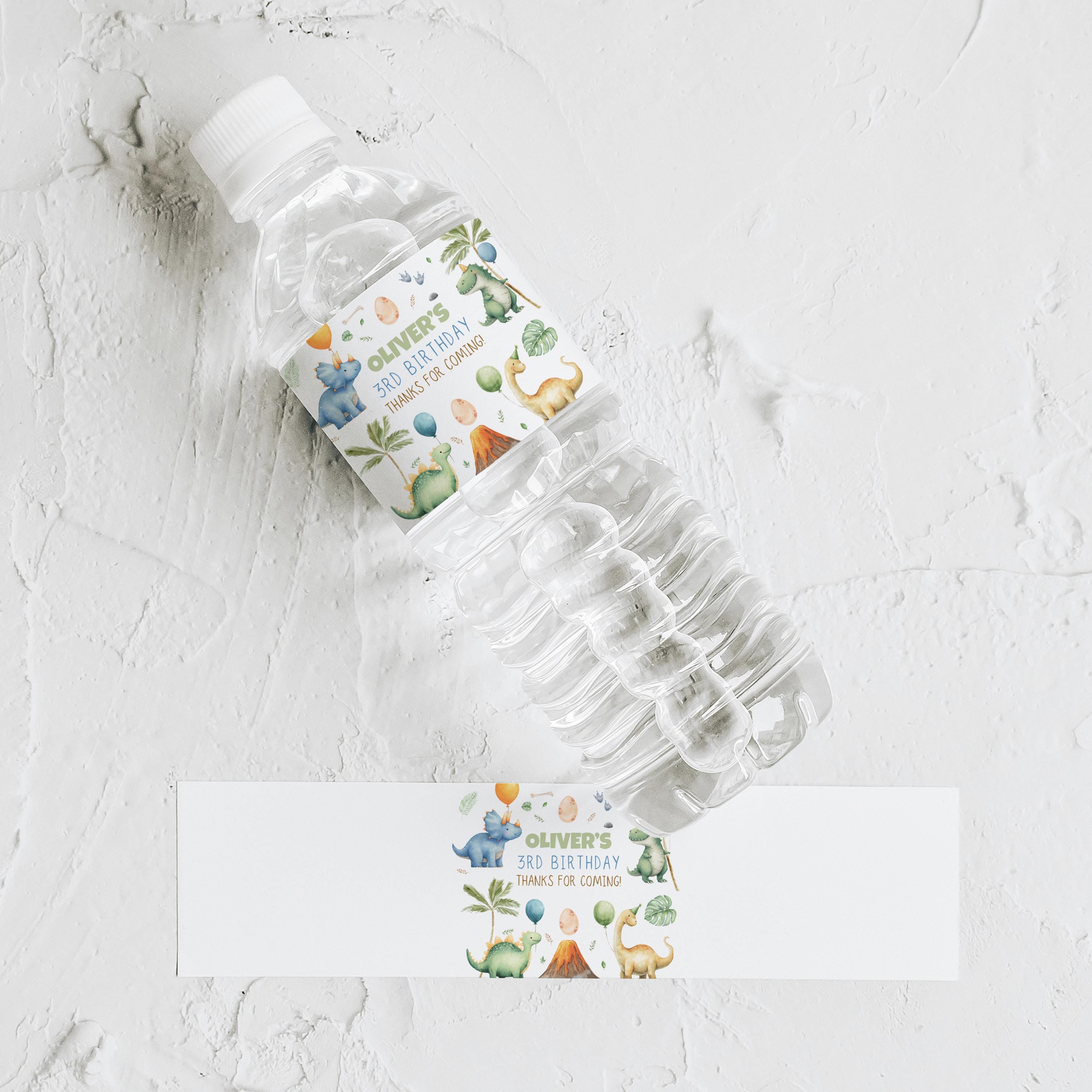 EDITABLE Three rex Birthday Bottle label, Dinosaur Water Label Party decorations Instant Download Printable Templates 9166