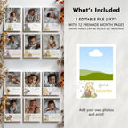 Winnie the Pooh Year Photo, Milestone Baby's 1st Year Month Photos