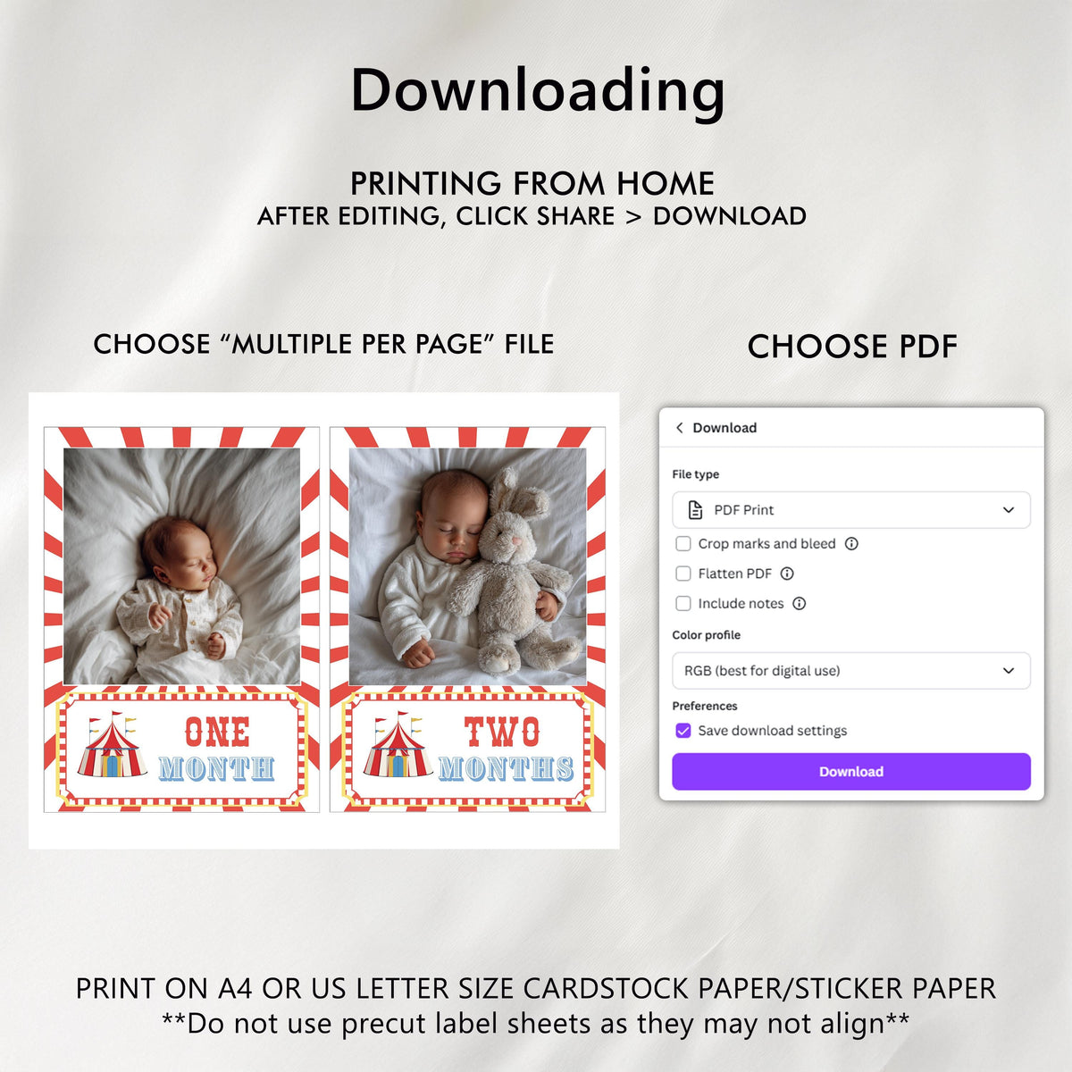Circus Milestone Photo, Carnival Baby's 1st Year Month Photos