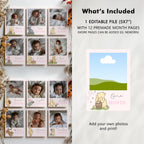 Pink Winnie the Pooh Year Photo, Milestone Baby's 1st Year Month Photos