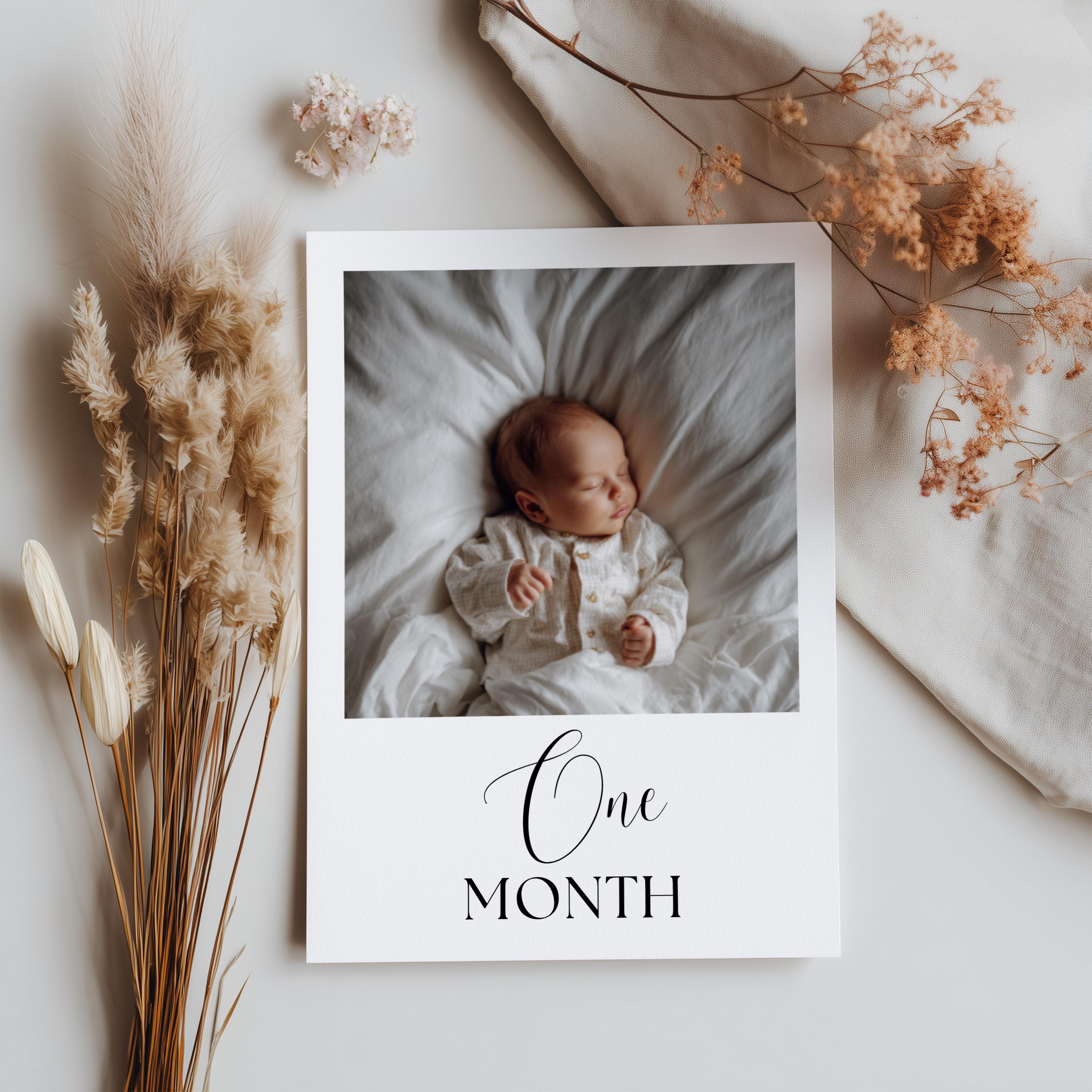 Minimalist First Birthday Photo Banner, 1st Birthday Photo Banner, Gender Neutral Photo Cards, Modern Monthly Milestone Photo Cards  9175