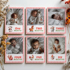Barnyard First Year Photos, Farm 1st Birthday, Baby's Year Month, Monthly Photo Banner