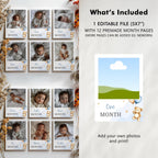Teddy Bear Milestone First Year Photos, Monthly Photo Banner