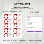 Red Bow Baby Shower Diaper Raffle Card, Gender Neutral, Printable Nappy Raffle Cards 9301