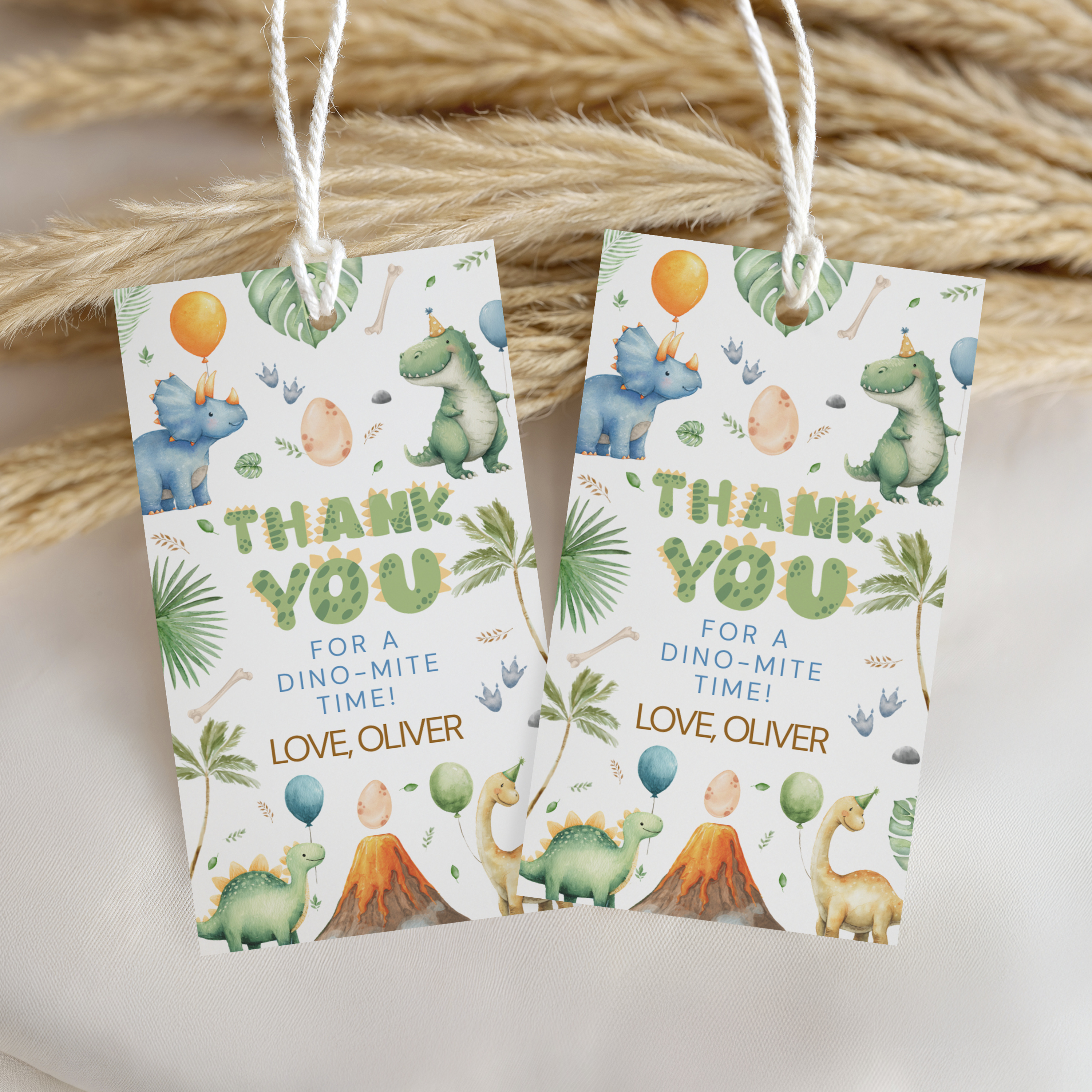 Dinosaur Editable Birthday Favor tags, Dinosaur Birthday Thank you tags, Dinosaur Template Instant Download 9165