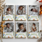 Dinosaur First Year Photos, Dino 1st Birthday Photos, Baby's First Year Month Photos, Monthly Photo Banner 9165
