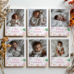 Oneder the sea First Year Photo, Under the sea Baby's 1st Month Photos 9180