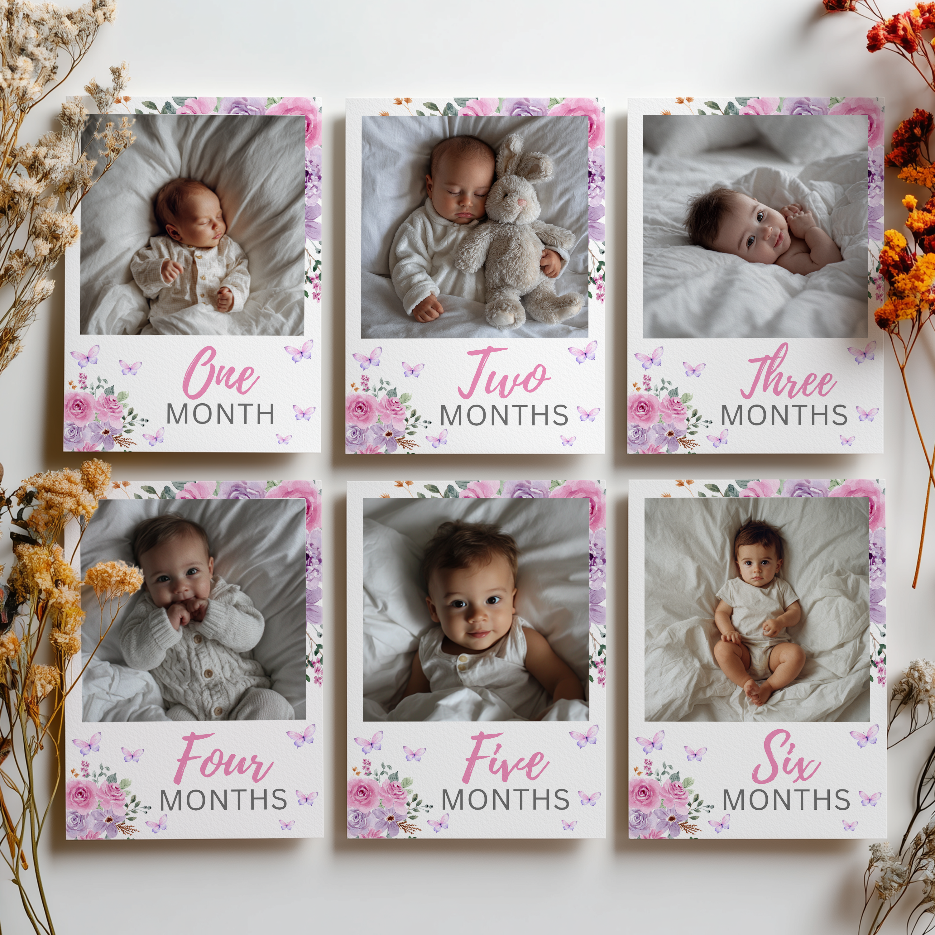 Butterfly Year Photo, Purple Flowers Baby's 1st Year Month Photos 9194