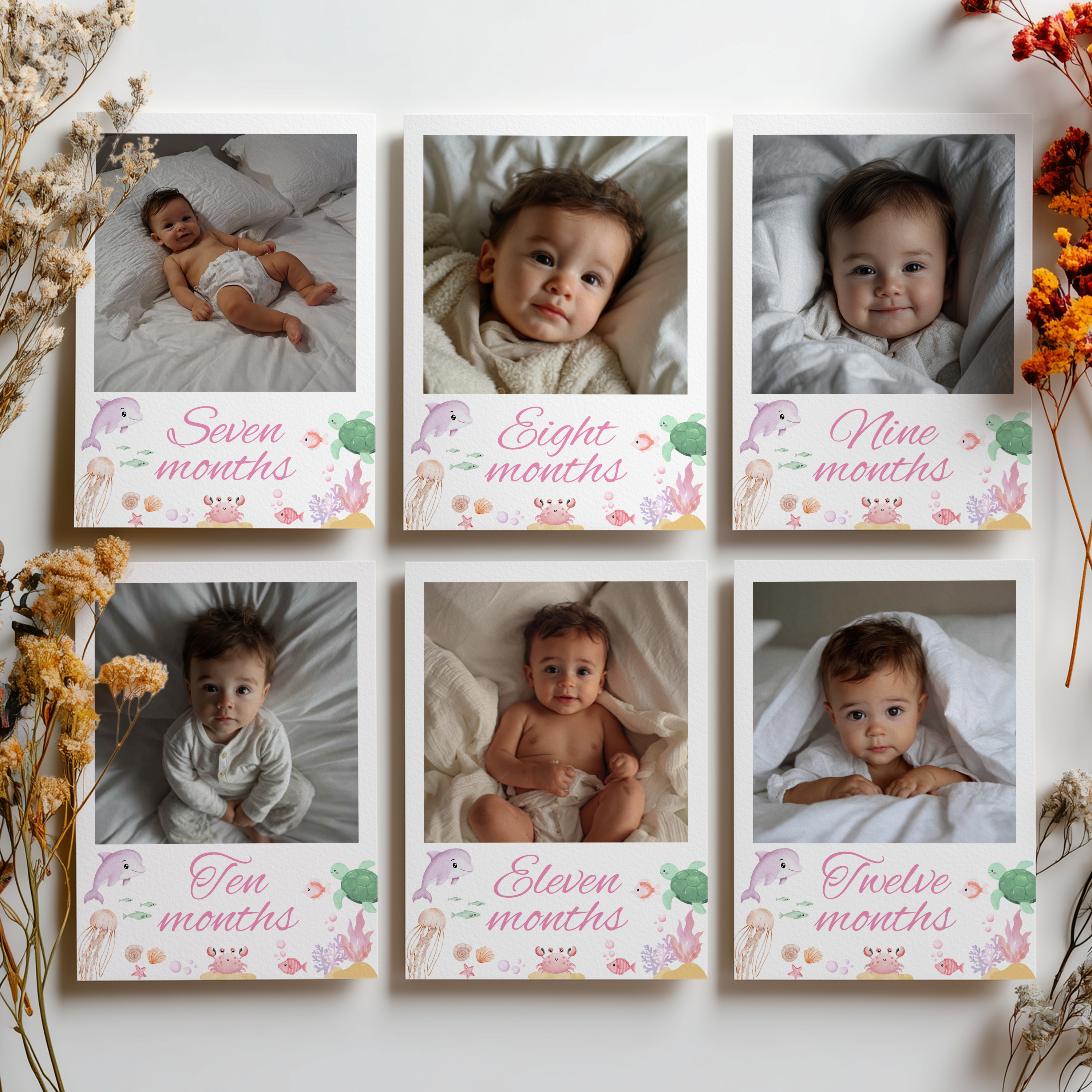 Oneder the sea First Year Photo, Under the sea Baby's 1st Month Photos 9180