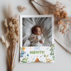 Dinosaur First Year Photos, Dino 1st Birthday Photos, Baby's First Year Month Photos, Monthly Photo Banner 9165