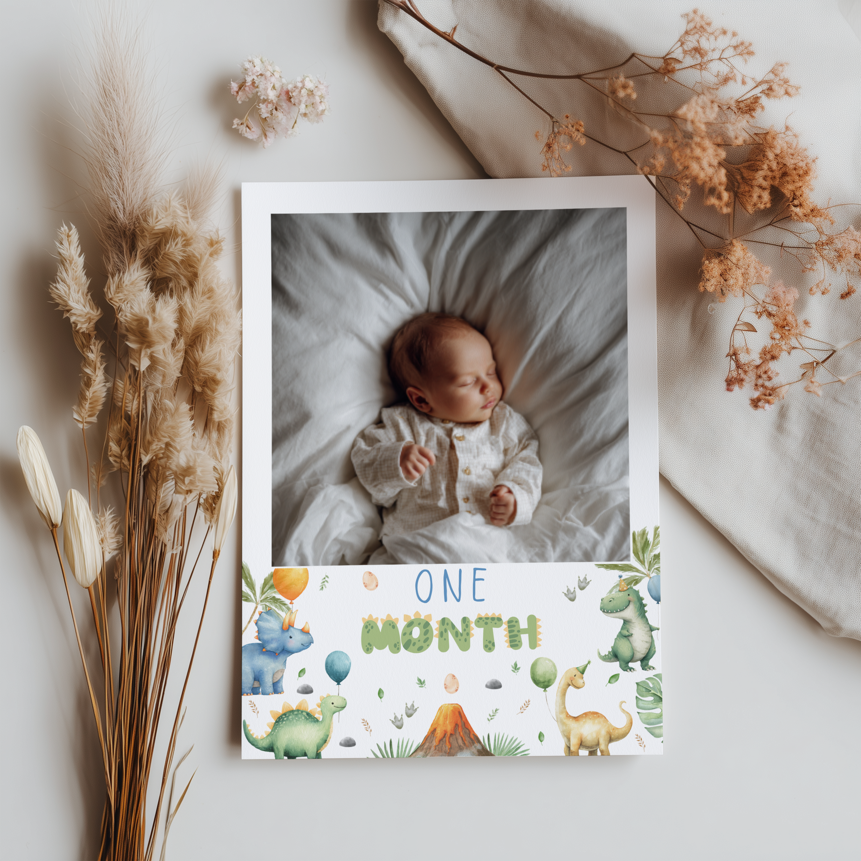 Dinosaur First Year Photos, Dino 1st Birthday Photos, Baby's First Year Month Photos, Monthly Photo Banner 9165