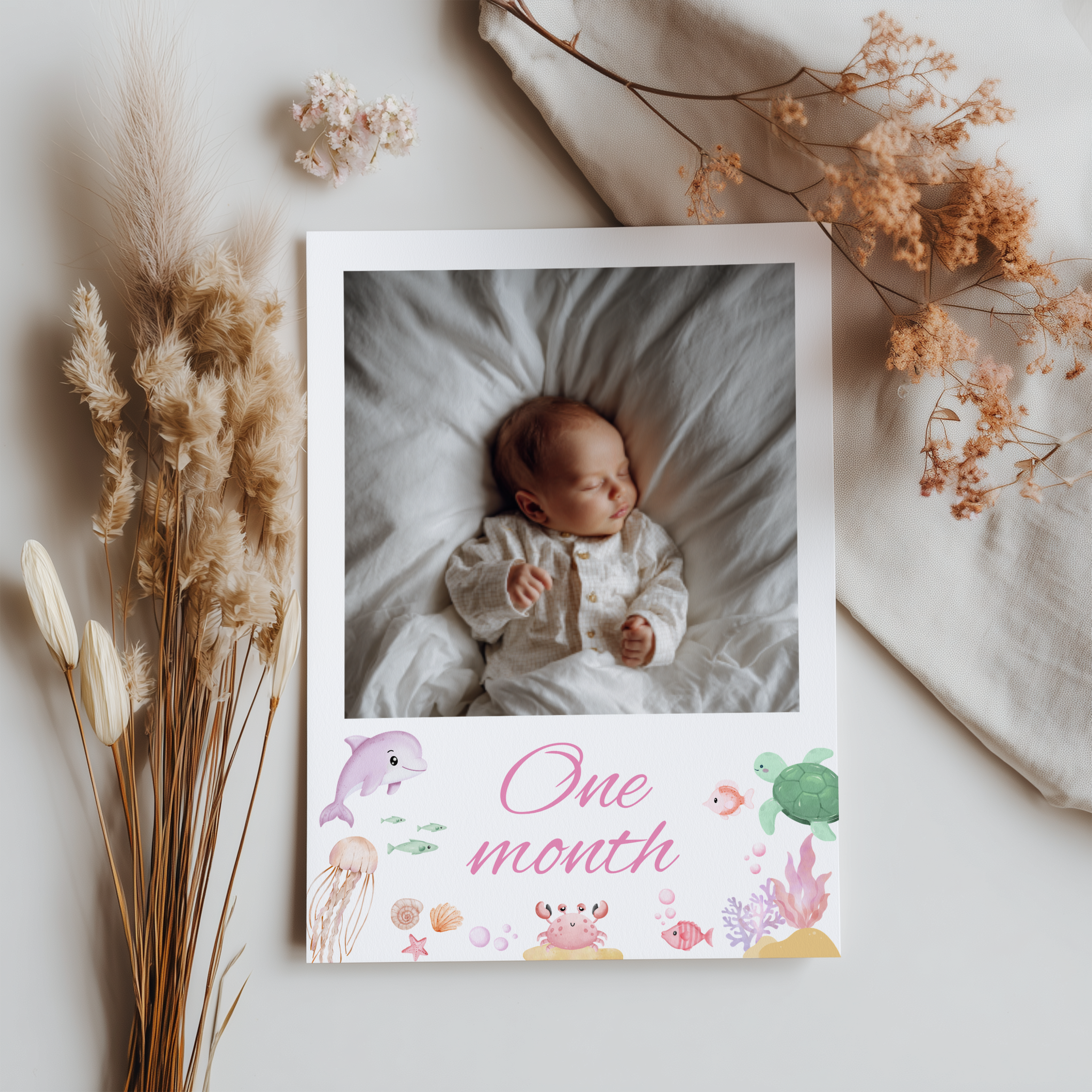 Oneder the sea First Year Photo, Under the sea Baby's 1st Month Photos 9180