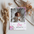 Butterfly Year Photo, Purple Flowers Baby's 1st Year Month Photos 9194