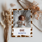 First Rodeo First Year Photos, Cowboy 1st Rodeo Birthday Photos, Baby's First Year Month Photos, Monthly Photo Banner 8539