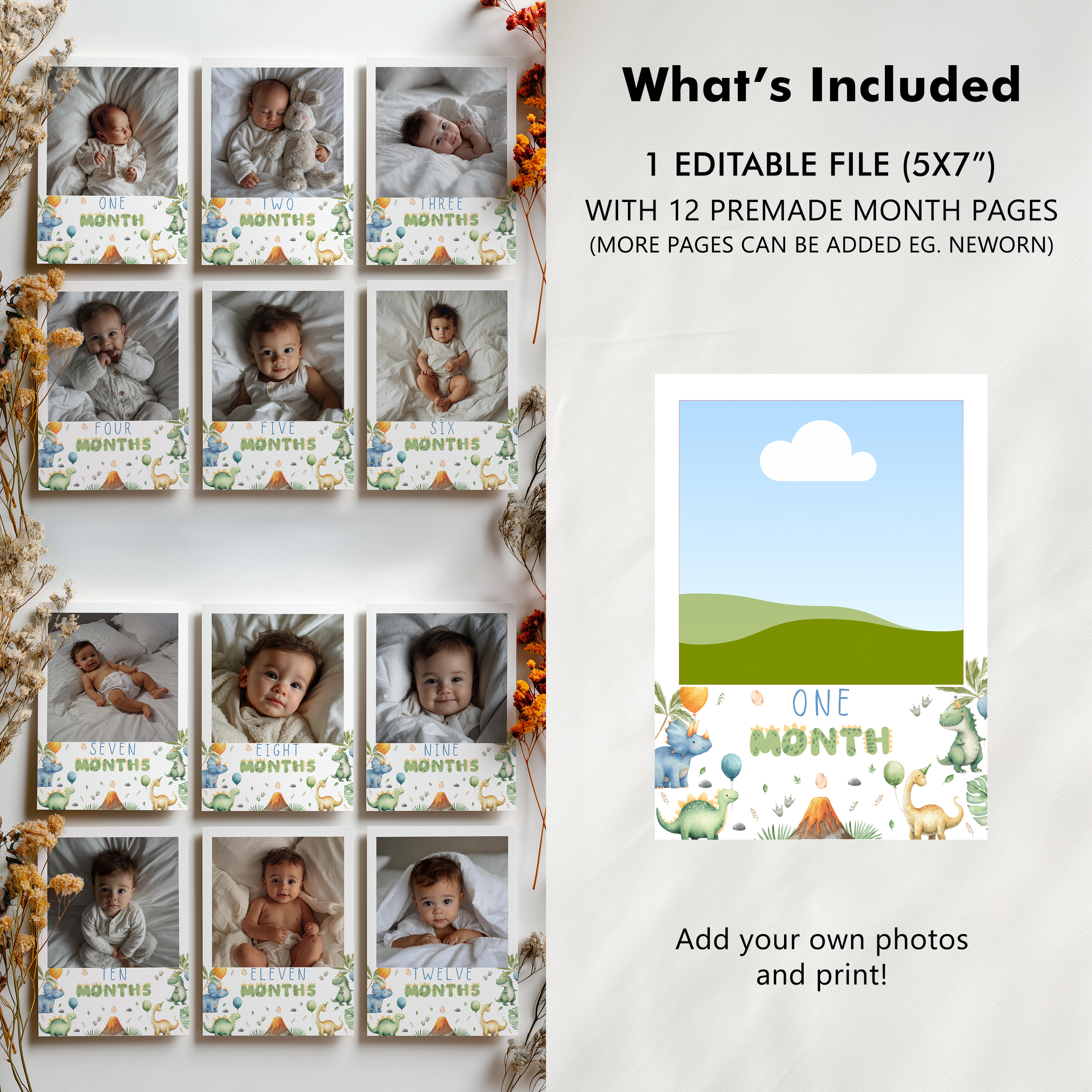 Dinosaur First Year Photos, Dino 1st Birthday Photos, Baby's First Year Month Photos, Monthly Photo Banner 9165