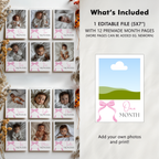 Pink Bow Milestone Photo Banner: Baby First Year 9156