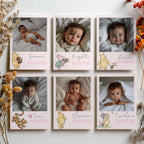 Pink Winnie the Pooh Year Photo, Milestone Baby's 1st Year Month Photos