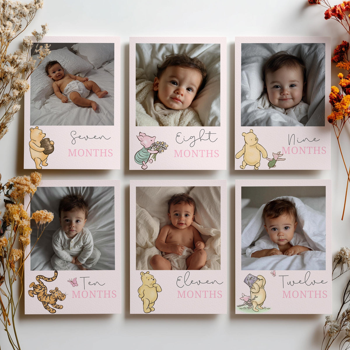 Pink Winnie the Pooh Year Photo, Milestone Baby's 1st Year Month Photos