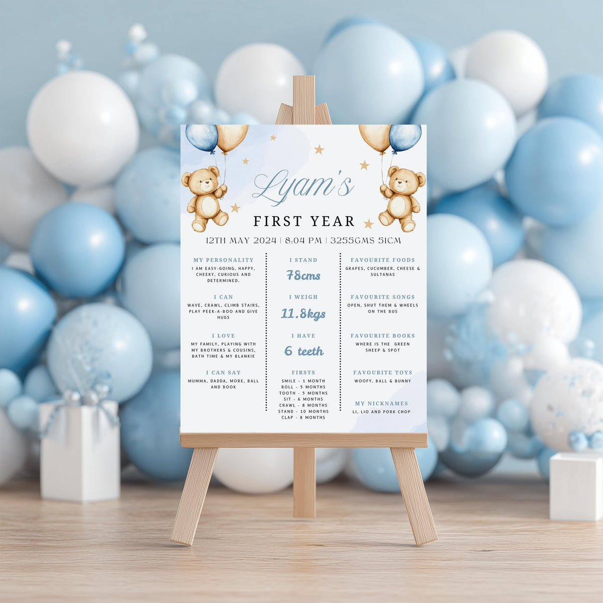 Beary First Milestone Sign, Teddy Bear Birthday Milestone Board