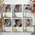 Winnie the Pooh Year Photo, Milestone Baby's 1st Year Month Photos