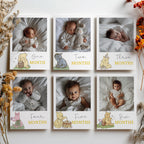 Winnie the Pooh Year Photo, Milestone Baby's 1st Year Month Photos