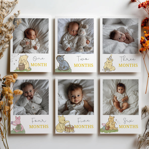Winnie the Pooh Year Photo, Milestone Baby's 1st Year Month Photos