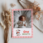 Barnyard First Year Photos, Farm 1st Birthday, Baby's Year Month, Monthly Photo Banner