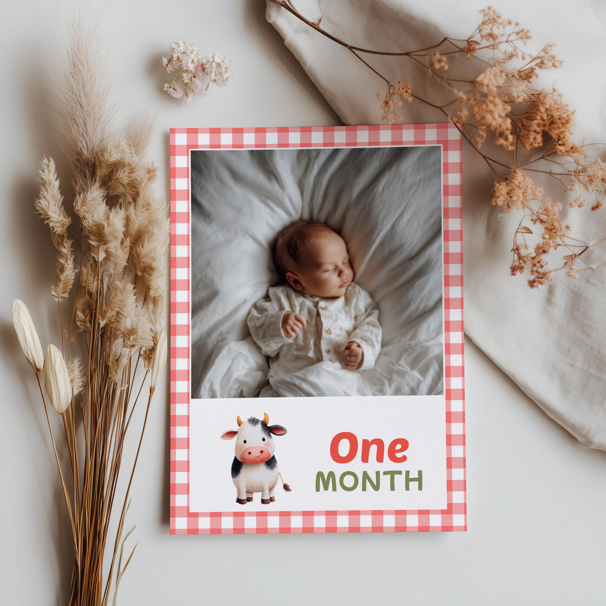 Barnyard First Year Photos, Farm 1st Birthday, Baby's Year Month, Monthly Photo Banner