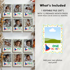 Fun to Be One Year Photo, Baby's 1st Year Month Photos