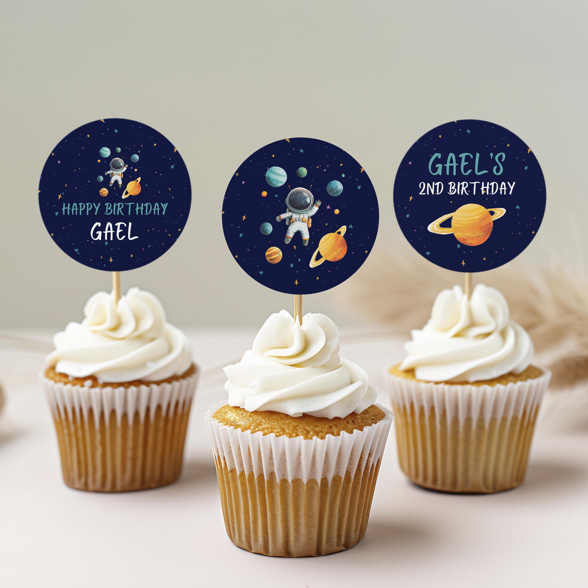 Editable Space Astronaut Birthday Cupcake Toppers | Second Trip Around the Sun Party Cake Toppers | Instant Digital Download