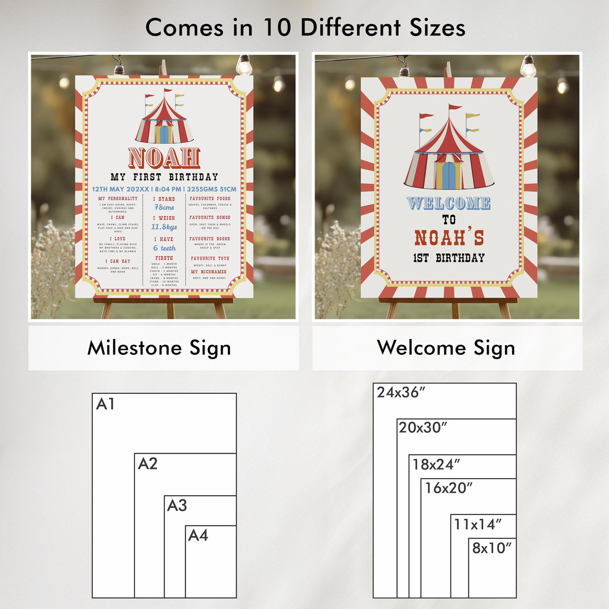 Circus Birthday Bundle, Carnival 1st Party Decoration, Printable Party Set
