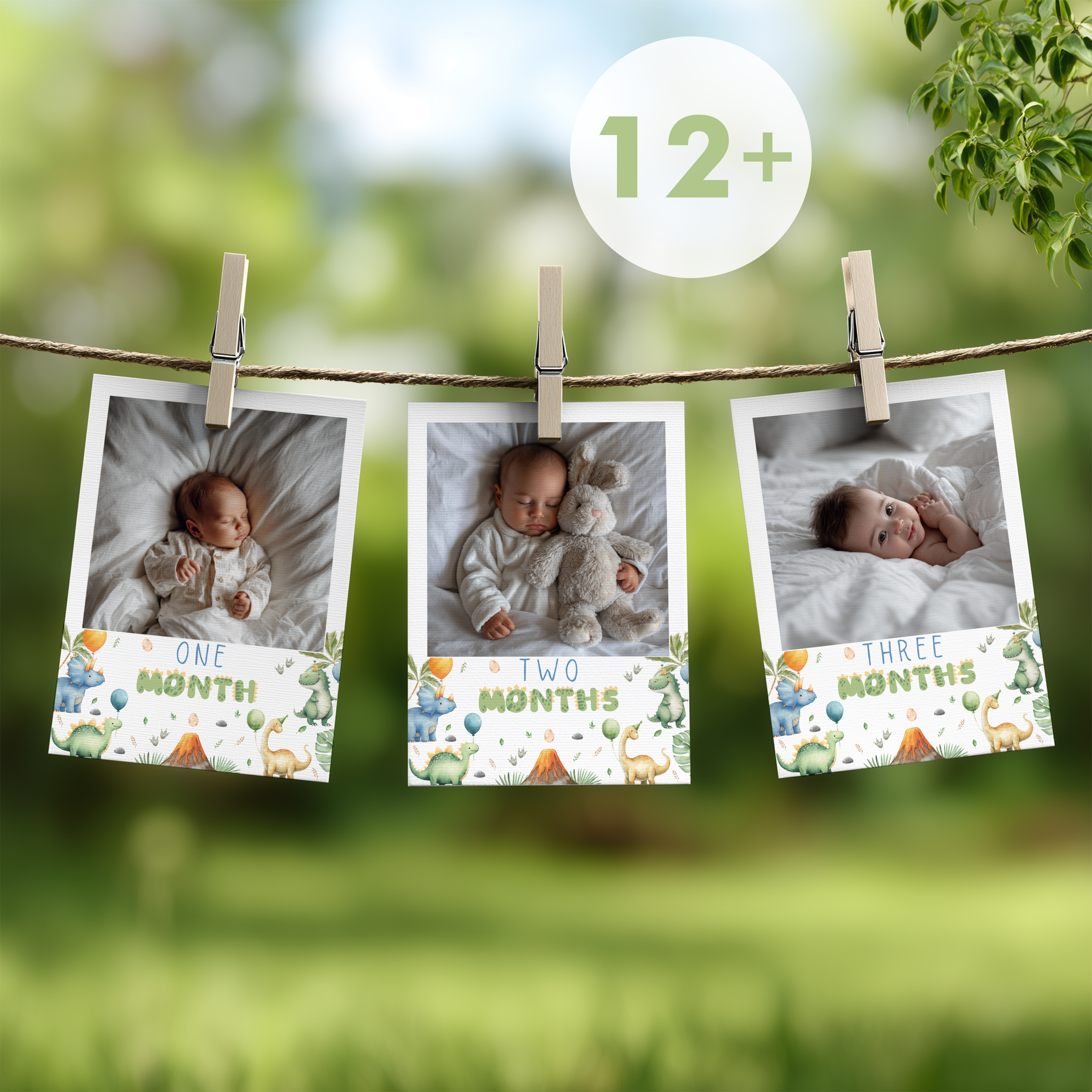 Dinosaur First Year Photos, Dino 1st Birthday Photos, Baby's First Year Month Photos, Monthly Photo Banner 9165