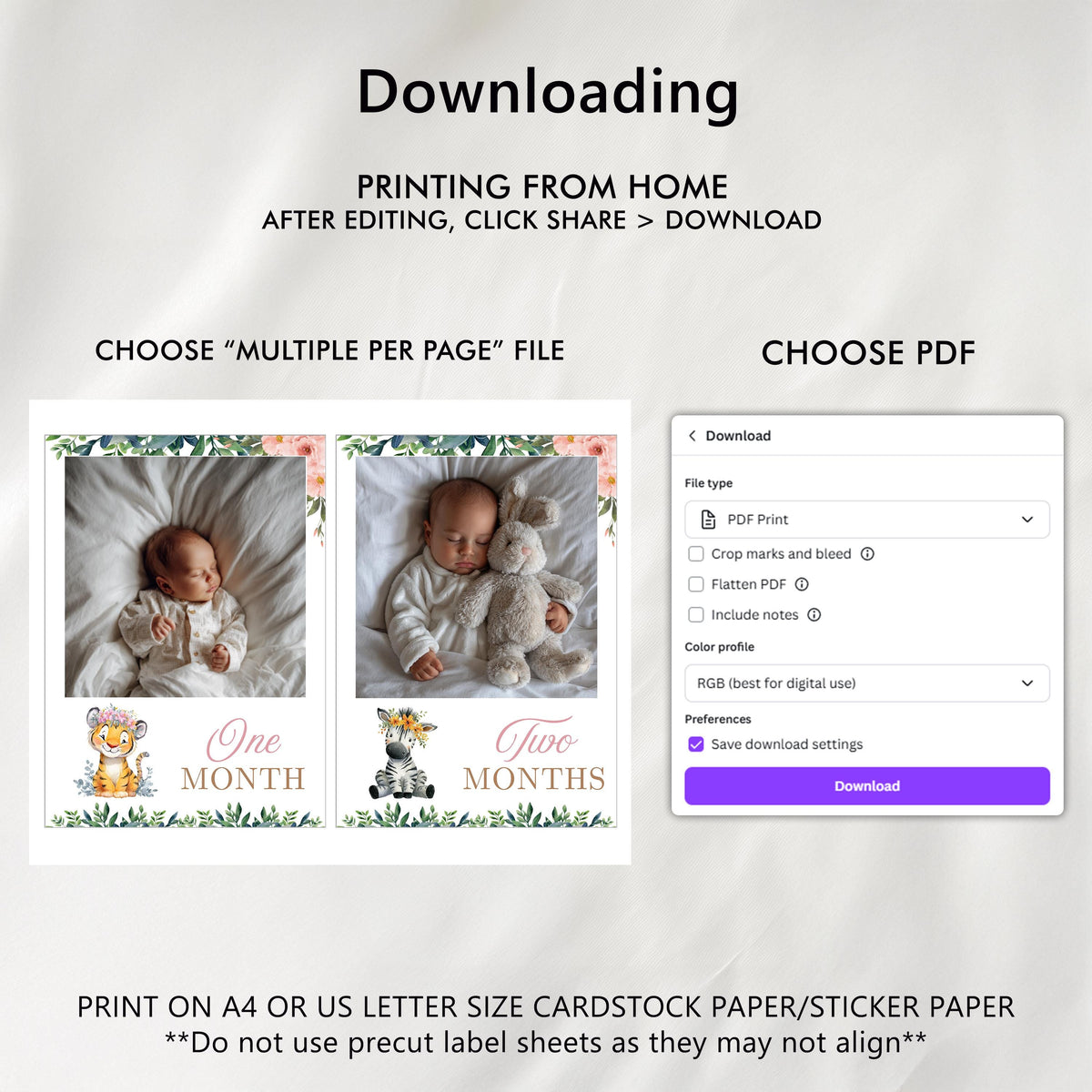 Safari First Year Photos, Wild One Girl 1st Birthday Photos, Girl Baby's First Year Month Photos, Monthly Photo Banner